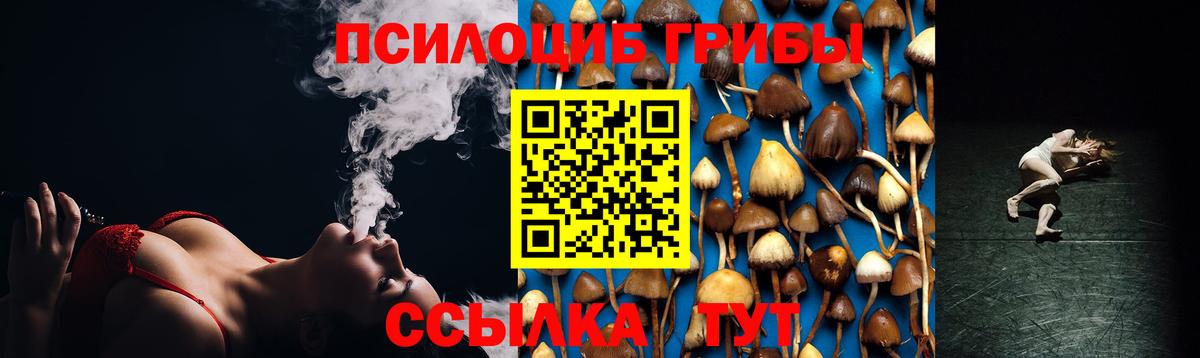 Галлюциногенные грибы Magic Shrooms Амурск